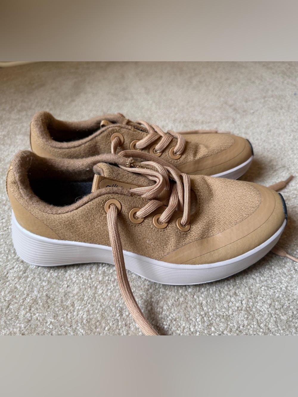 Allbirds Runners Protect